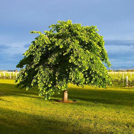 Marlborough Magic - Rapaura Holiday Home Blenheim Luaran gambar