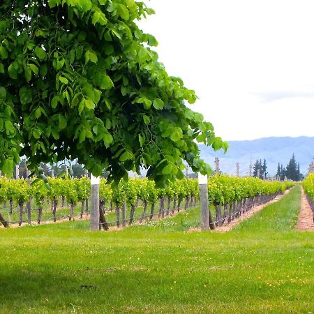 Marlborough Magic - Rapaura Holiday Home Blenheim Luaran gambar