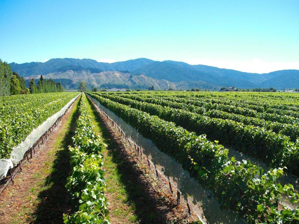 Marlborough Magic - Rapaura Holiday Home Blenheim Luaran gambar