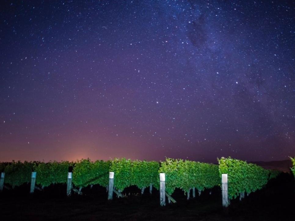 Marlborough Magic - Rapaura Holiday Home Blenheim Luaran gambar